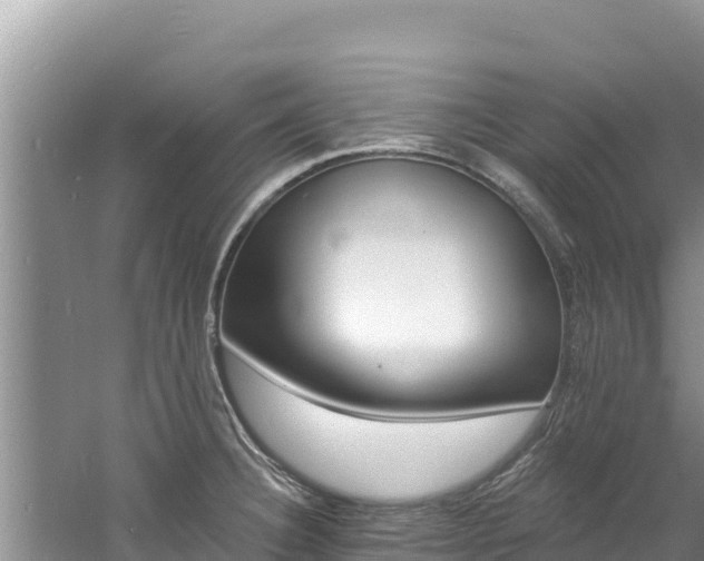 X0000060791332200511141433