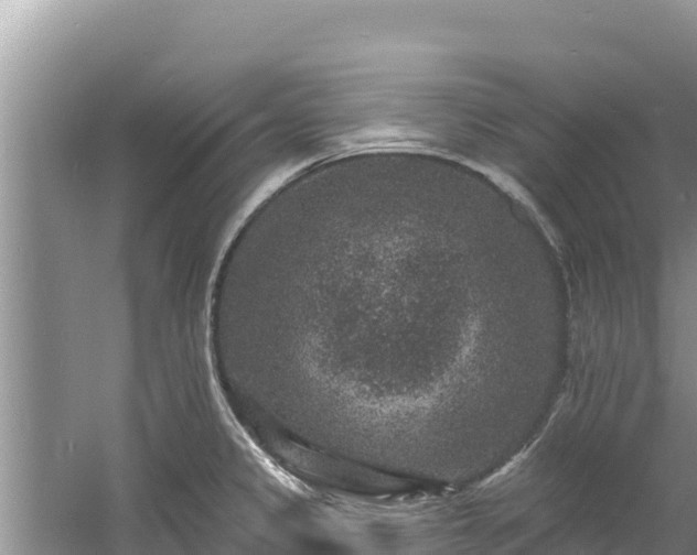 X0000060791333200511141433