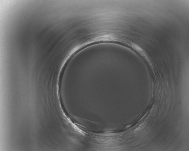 X0000060791334200511141433