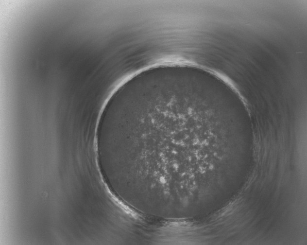 X0000060791335200511141433