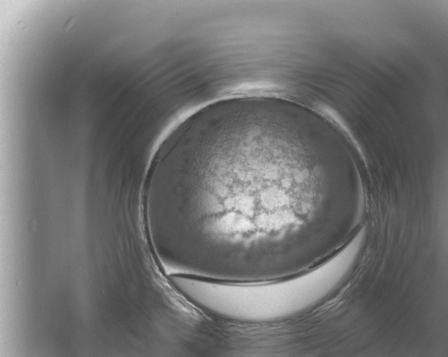 X0000060791336200511141433