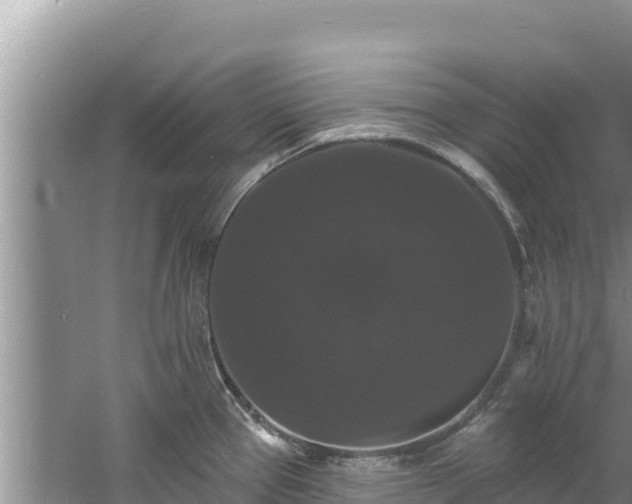 X0000060791337200511141433