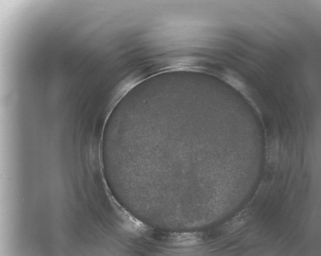 X0000060791338200511141433