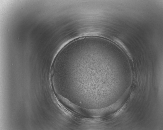 X0000060791340200511141433