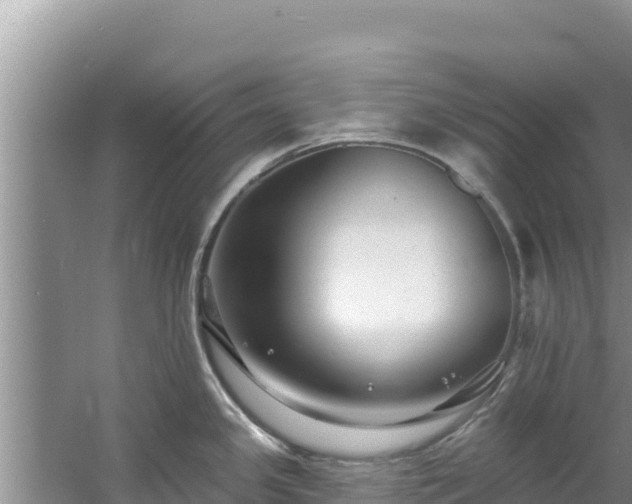 X0000060791341200511141433