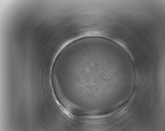 X0000060791342200511141433