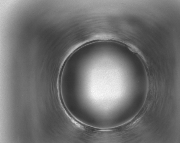 X0000060791343200511141433