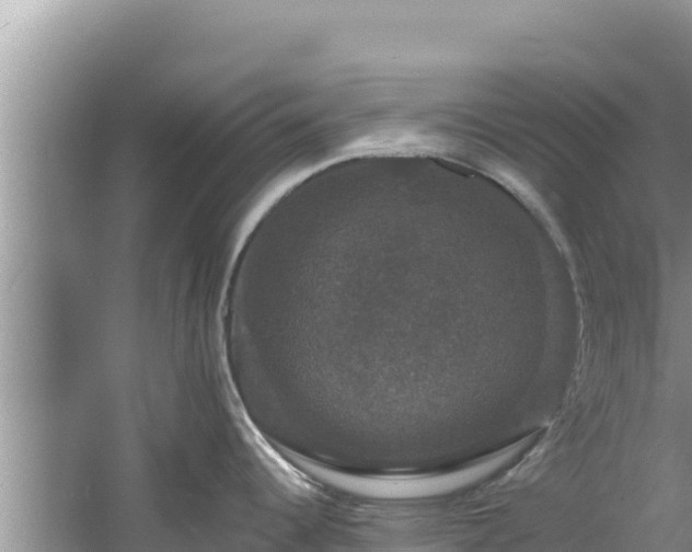 X0000060791344200511141433