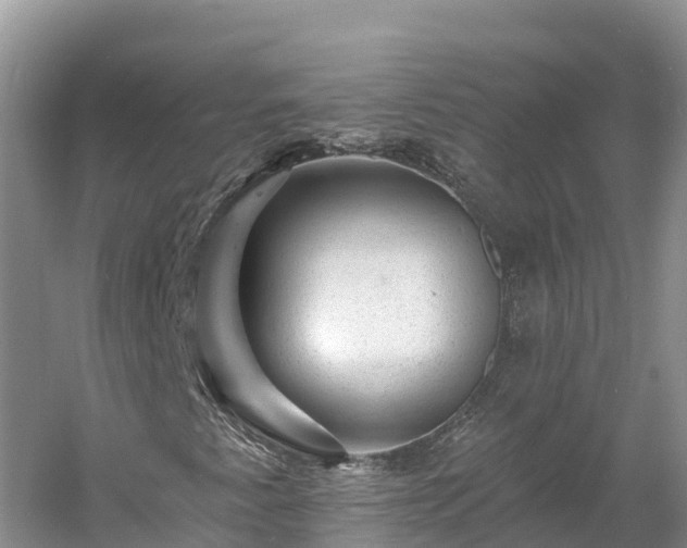 X0000060791345200511141433