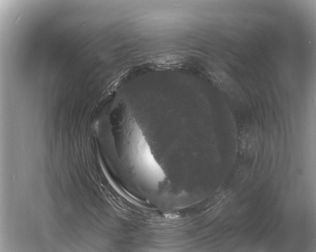 X0000060791346200511141433