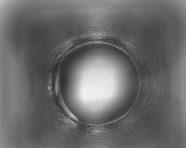 X0000060791349200511141433