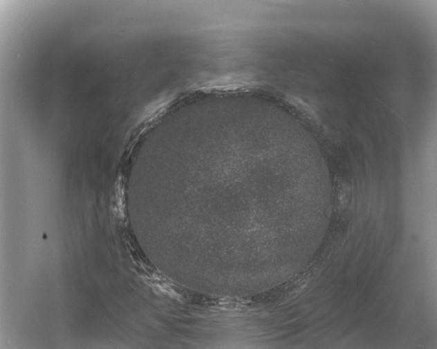 X0000060791350200511141433