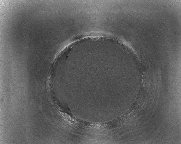 X0000060791352200511141433