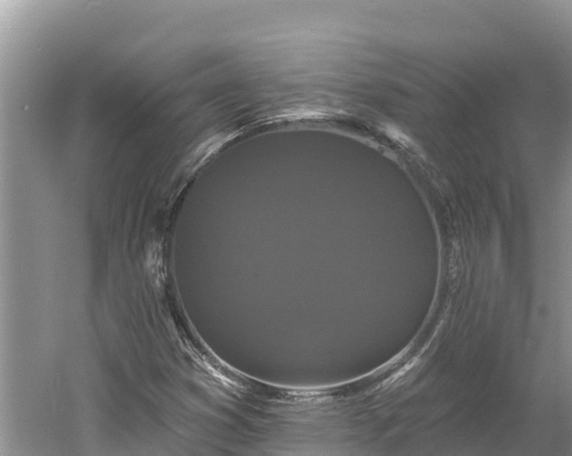 X0000060791353200511141432