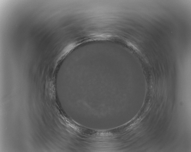 X0000060791354200511141432