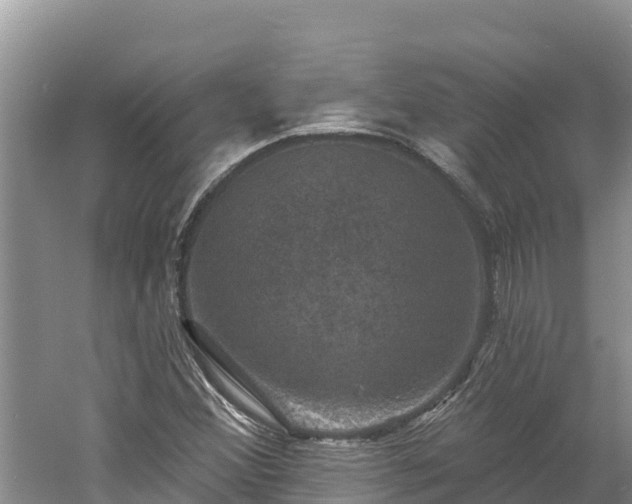 X0000060791356200511141432