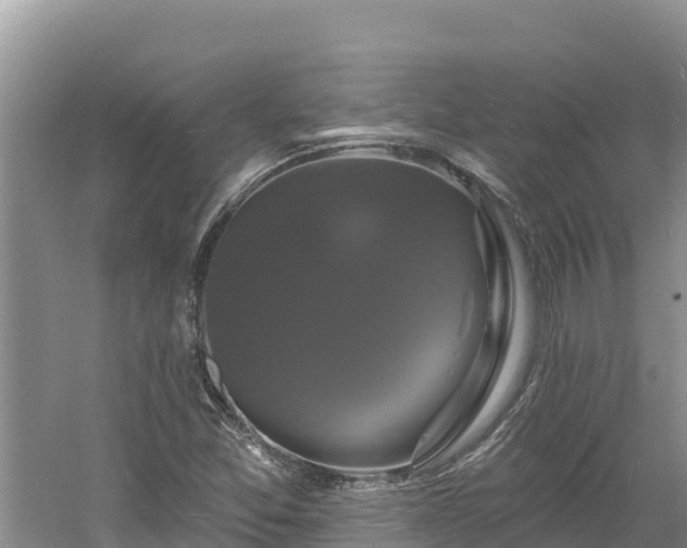 X0000060791357200511141432