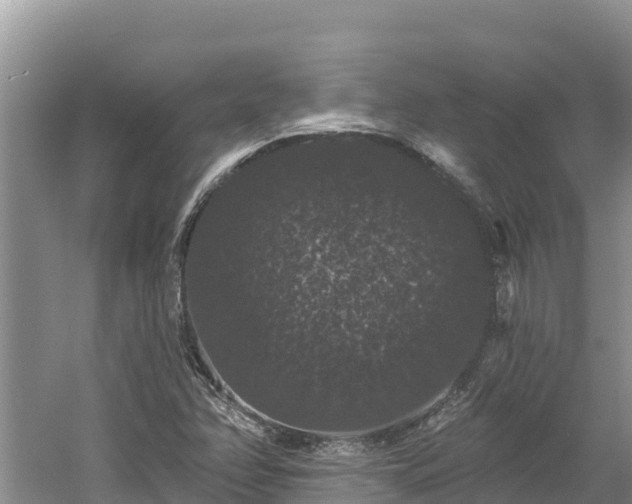 X0000060791358200511141432