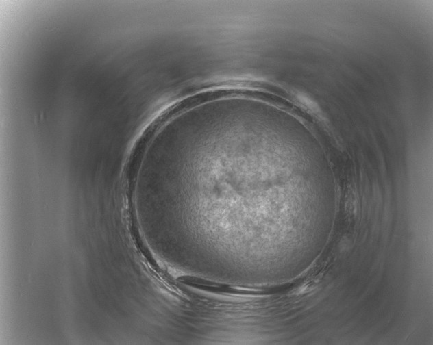 X0000060791360200511141432