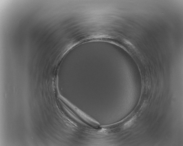 X0000060791361200511141432