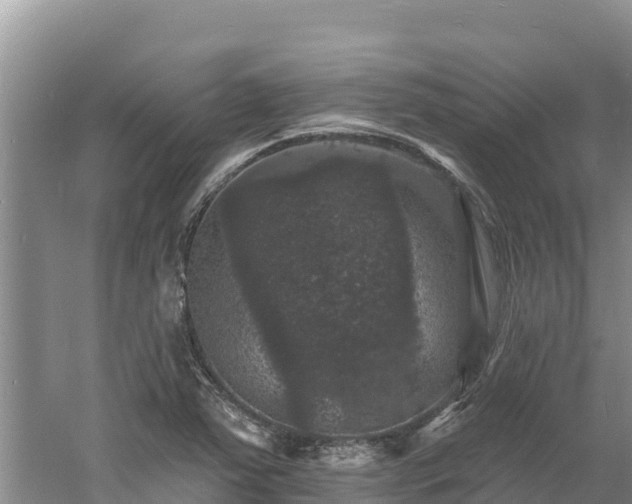 X0000060791363200511141432