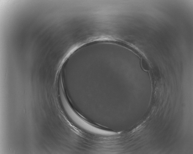 X0000060791367200511141432