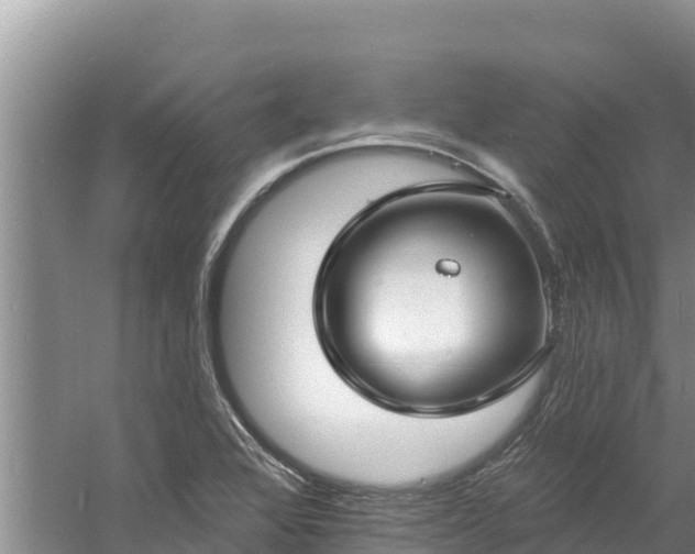 X0000060791368200511141432