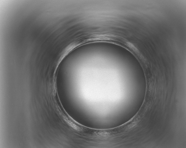 X0000060791370200511141432