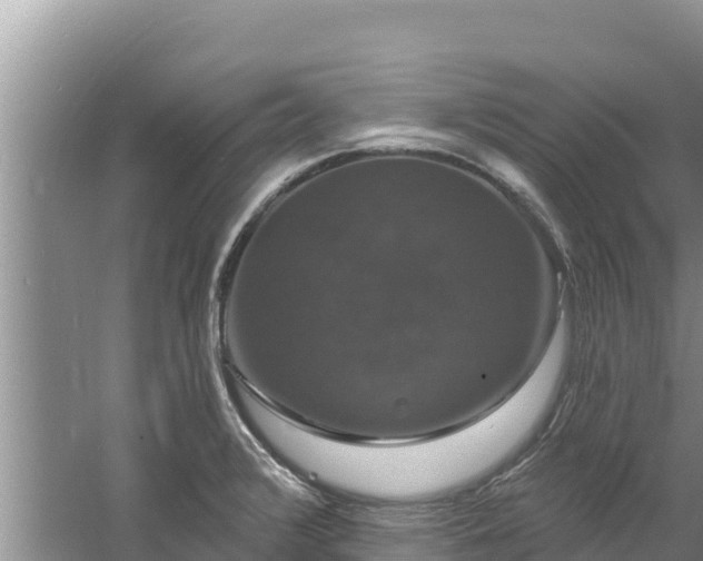 X0000060791376200511141432