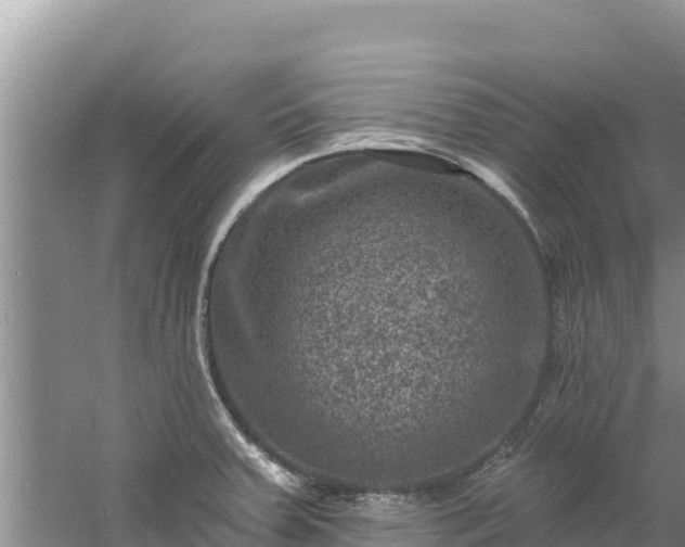 X0000060791379200511141432