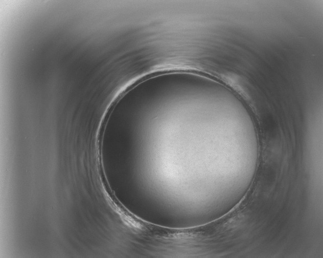 X0000060791380200511141432