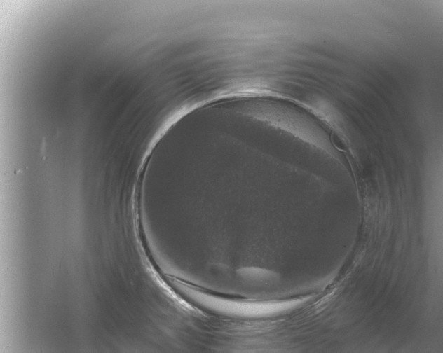 X0000060791382200511141432