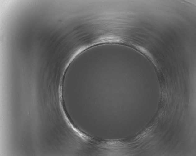 X0000060791383200511141432