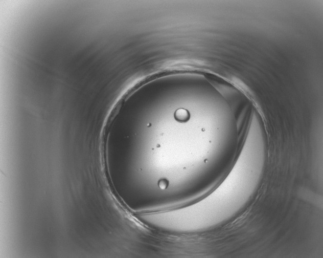 X0000060791384200511141432