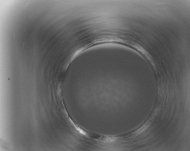 X0000060791385200511141432