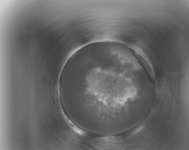 X0000060791388200511141432