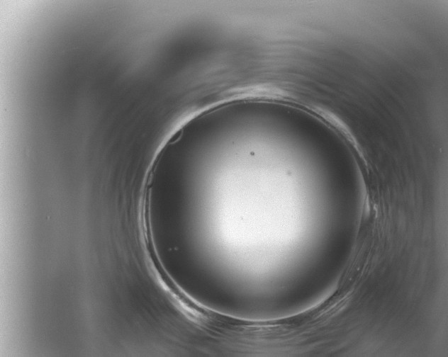 X0000060791391200511141432