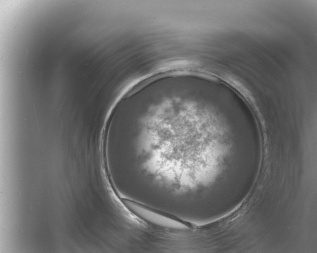 X0000060791392200511141432