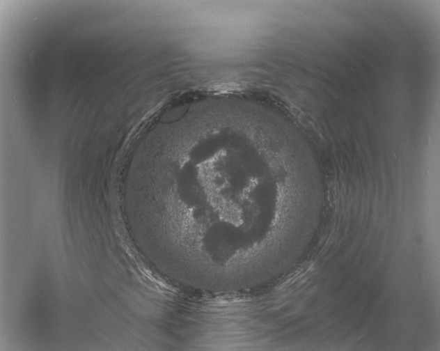 X0000060791393200511141431