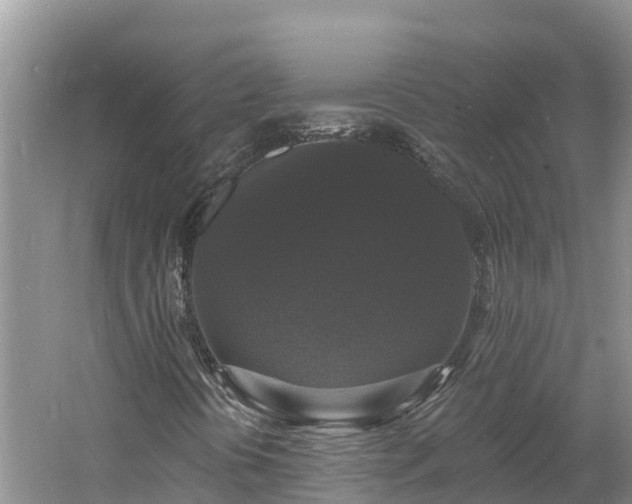 X0000060791394200511141431