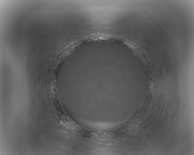 X0000060791397200511141431