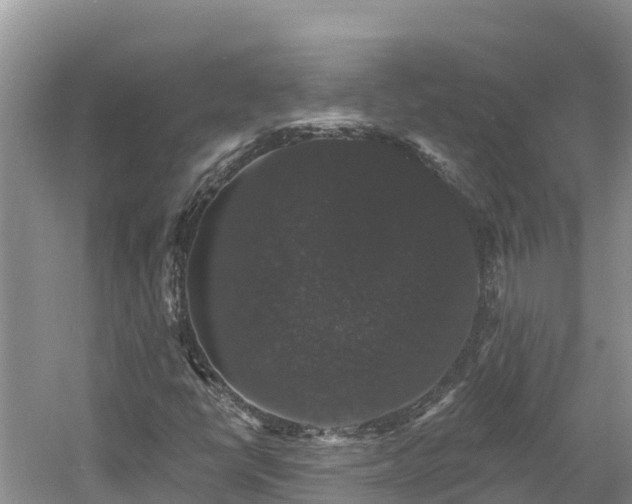 X0000060791398200511141431