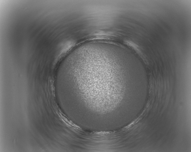 X0000060791403200511141431