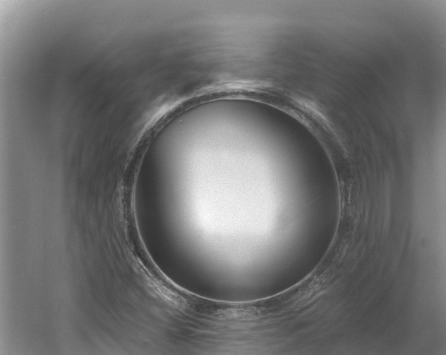 X0000060791404200511141431