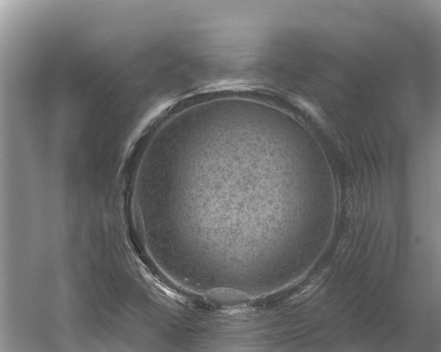 X0000060791406200511141431