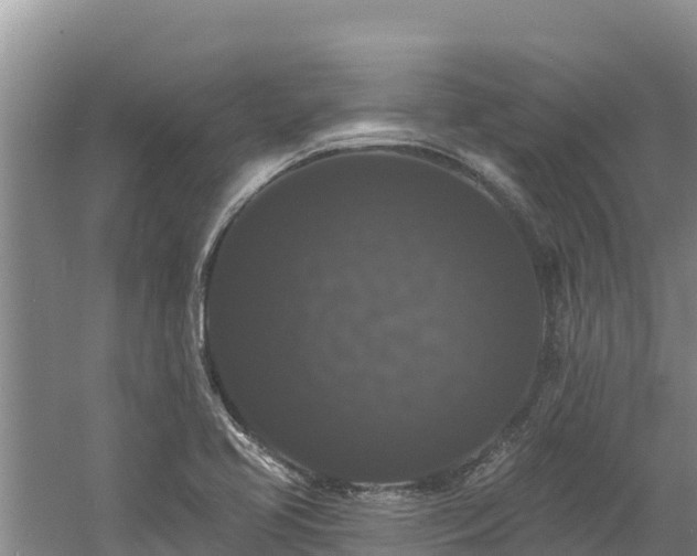 X0000060791413200511141431