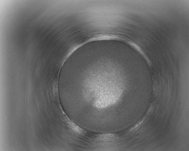 X0000060791417200511141431