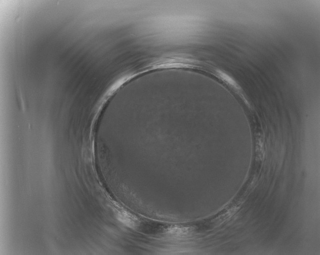 X0000060791419200511141431