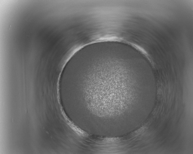 X0000060791423200511141432