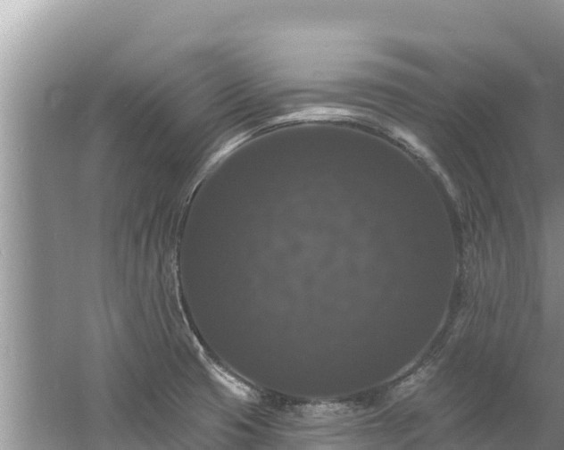 X0000060791425200511141432